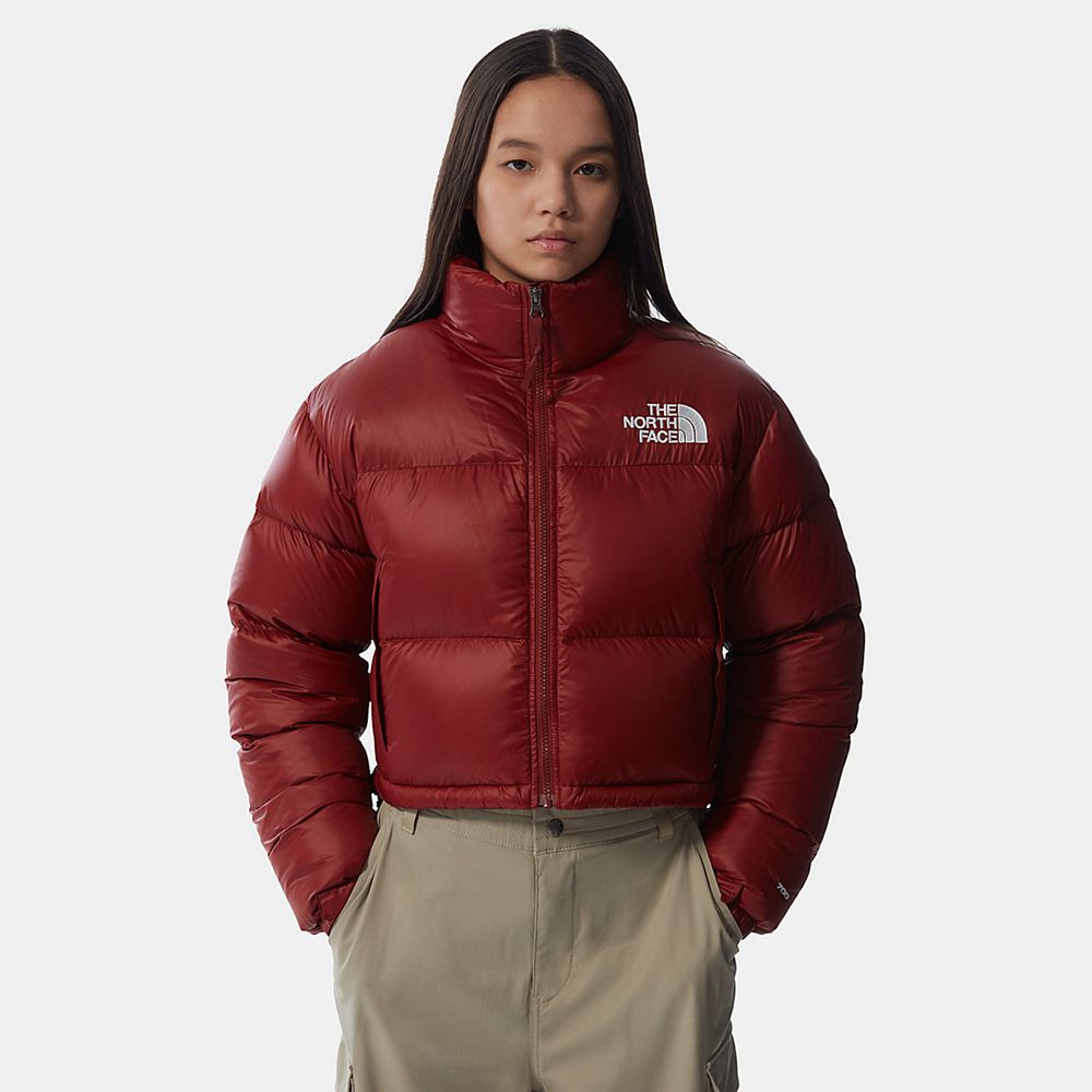 The North Face Nuptse Jacket Womens Australia - The North Face Short Red Mountain (OSL-675298)